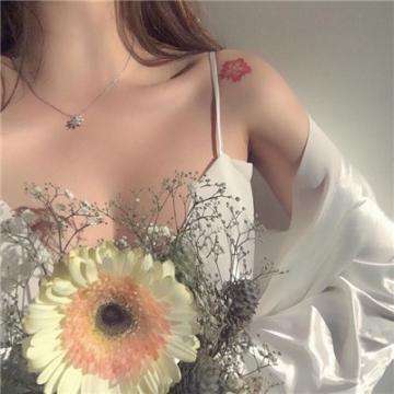 迈阿密午夜漂移